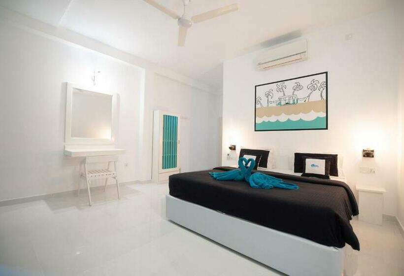 Quarto Estandar, The Surfer