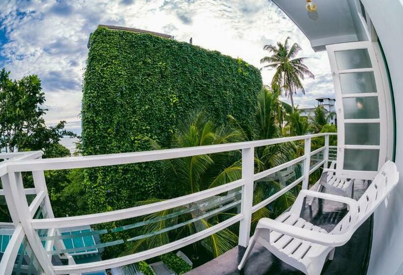 Номер Deluxe, The Surfer