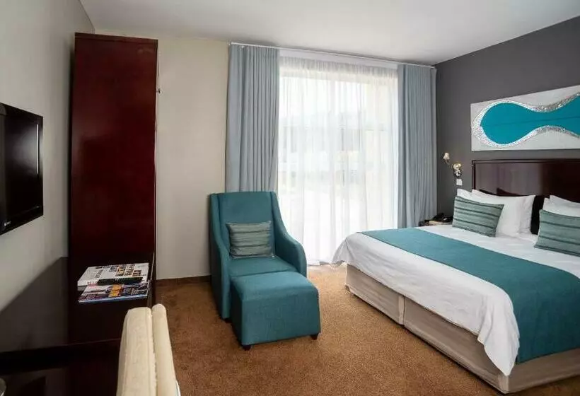اتاق استاندارد با تخت بزرگ, Tlotlo Hotel And Conference Center