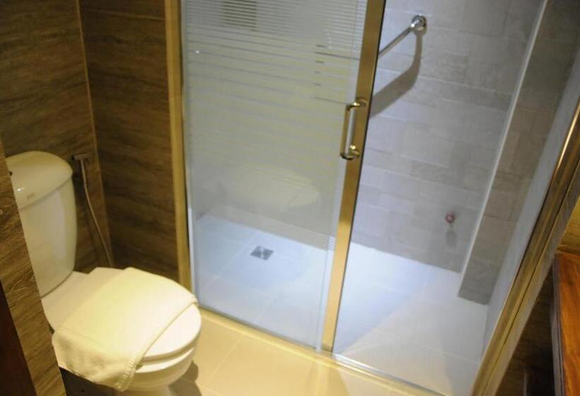 اتاق سوپریور, Veneto De Vigan