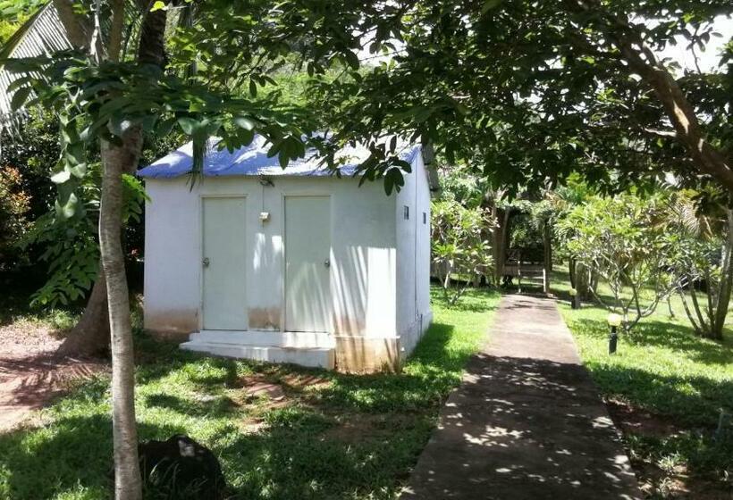 Bungalow Sandard, Q Bungalows