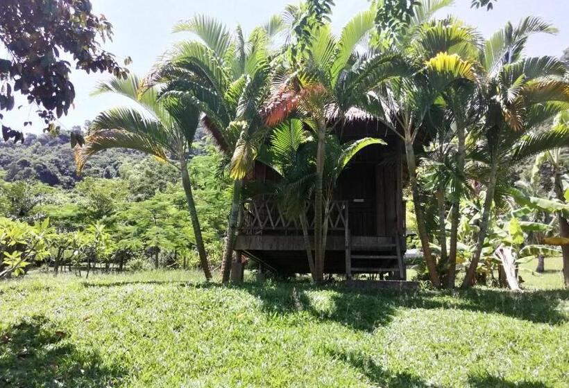بانگلوی استاندارد, Q Bungalows