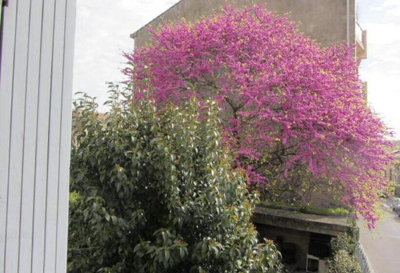 سوییت با چشم‌انداز باغ, Aude Citecity