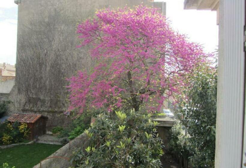 اتاق استاندارد, Aude Citecity