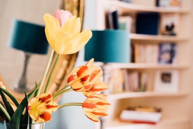 חדר סטנדרט נוף לגינה, Castel Jolly