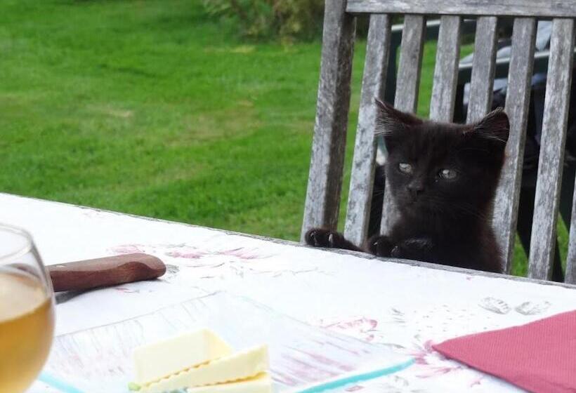 ガーデンビュースタンダードルーム, La Boursaie