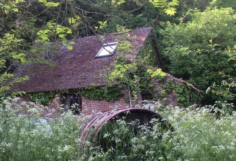 ガーデンビュースタンダードルーム, La Boursaie