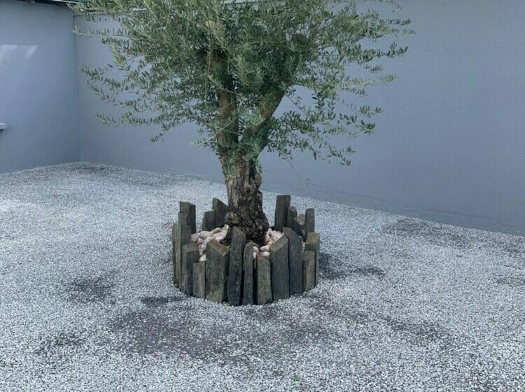 חדר סטנדרט, Le Relais Du Velors