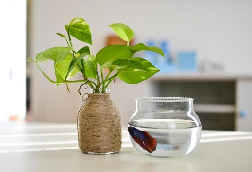 آپارتمان 2 خوابه, Palmier Hotel   Art House Da Nang