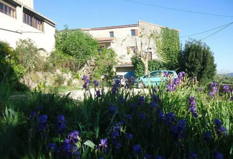 スタンダードルーム, La Colline Bleue