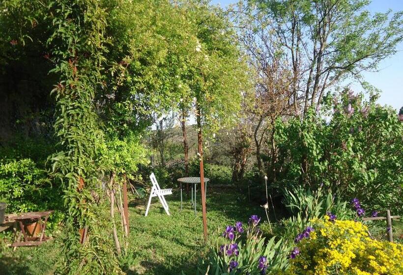 스탠다드 룸, La Colline Bleue