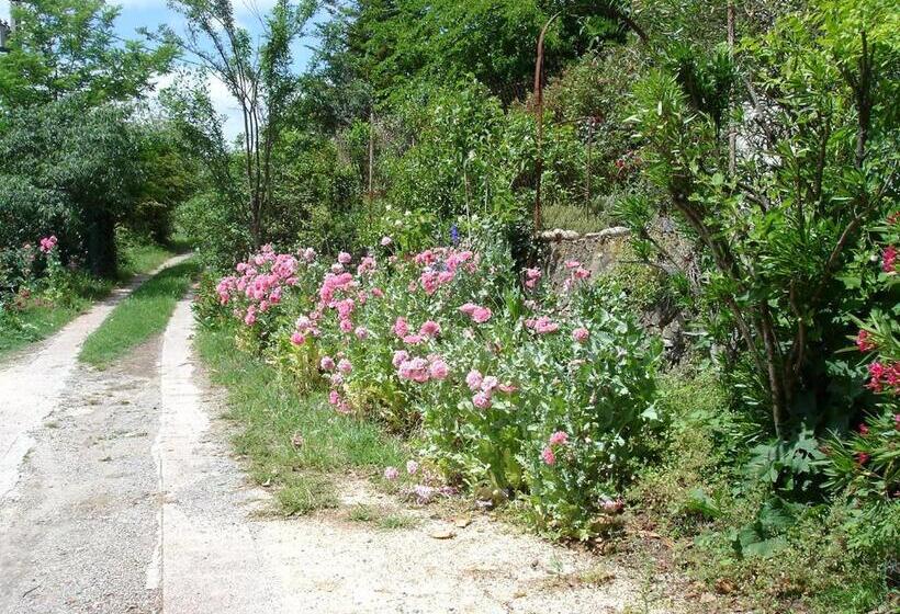 스탠다드 룸, La Colline Bleue