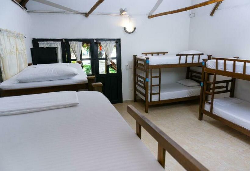 Кровать в Общей Комнате, Dreamer Palomino