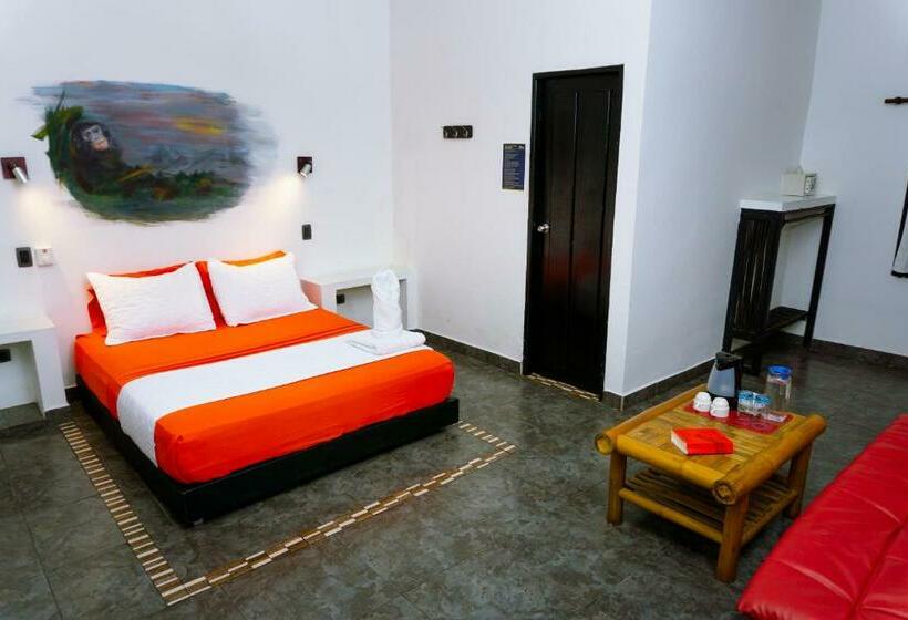 Номер Deluxe, Dreamer Palomino