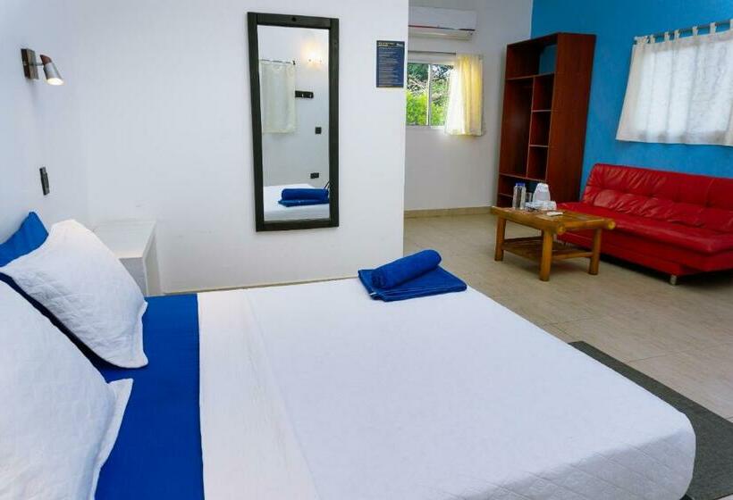 Номер Deluxe, Dreamer Palomino