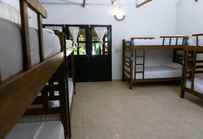 Кровать в Общей Комнате, Dreamer Palomino