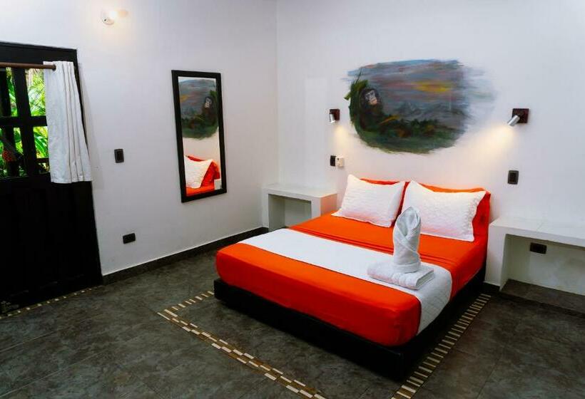 Номер Deluxe, Dreamer Palomino