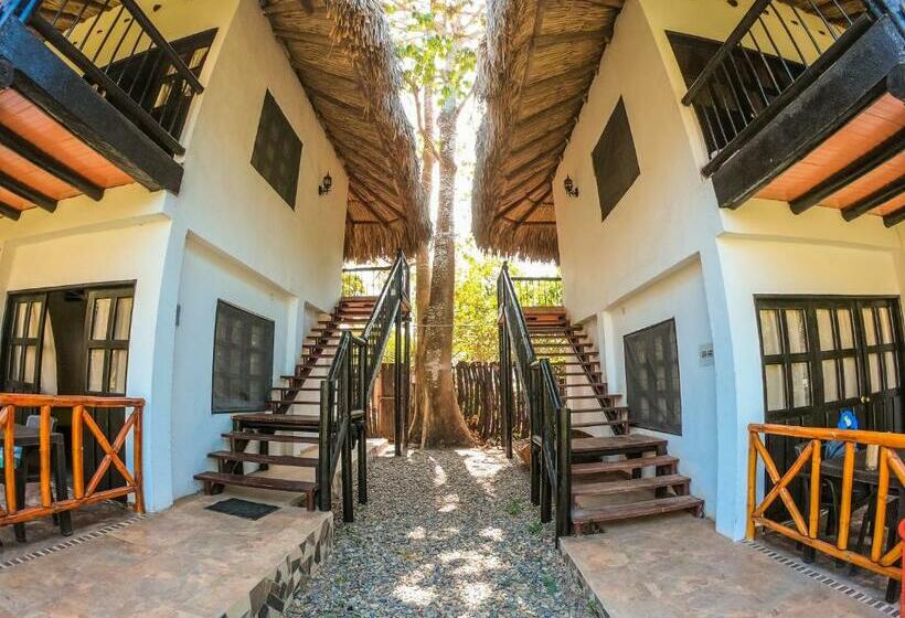 Номер Superior, Dreamer Palomino