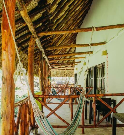 Номер Superior, Dreamer Palomino