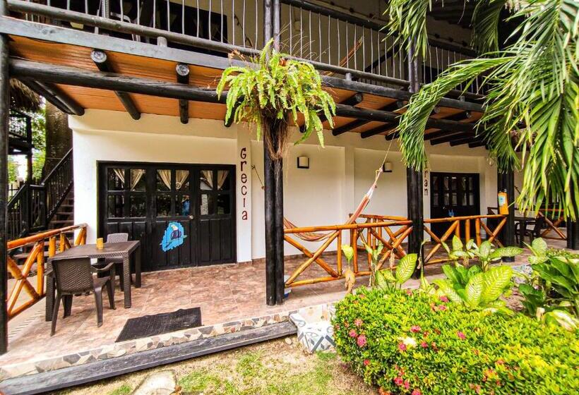 Номер Superior, Dreamer Palomino