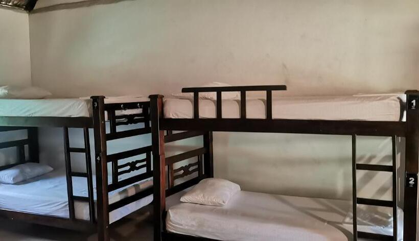 Кровать в Общей Комнате, Dreamer Palomino