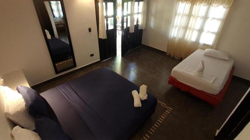 Номер Стандарт Трехместный, Dreamer Palomino