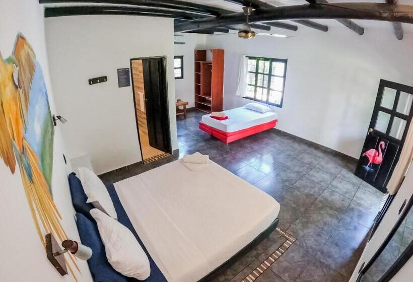 Трехместный Номер Superior, Dreamer Palomino