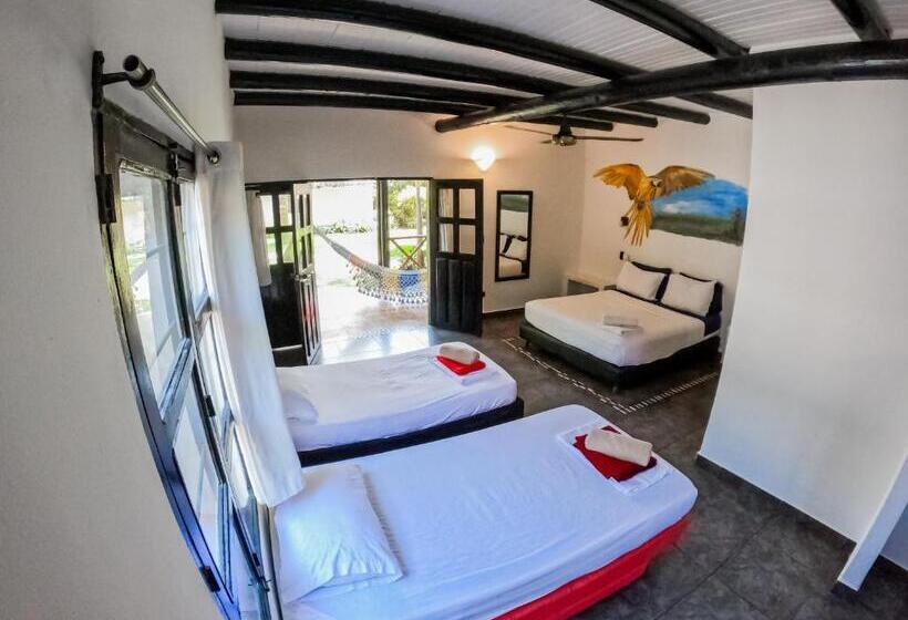 Четырехместный Номер Superior, Dreamer Palomino