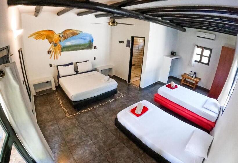 Четырехместный Номер Superior, Dreamer Palomino