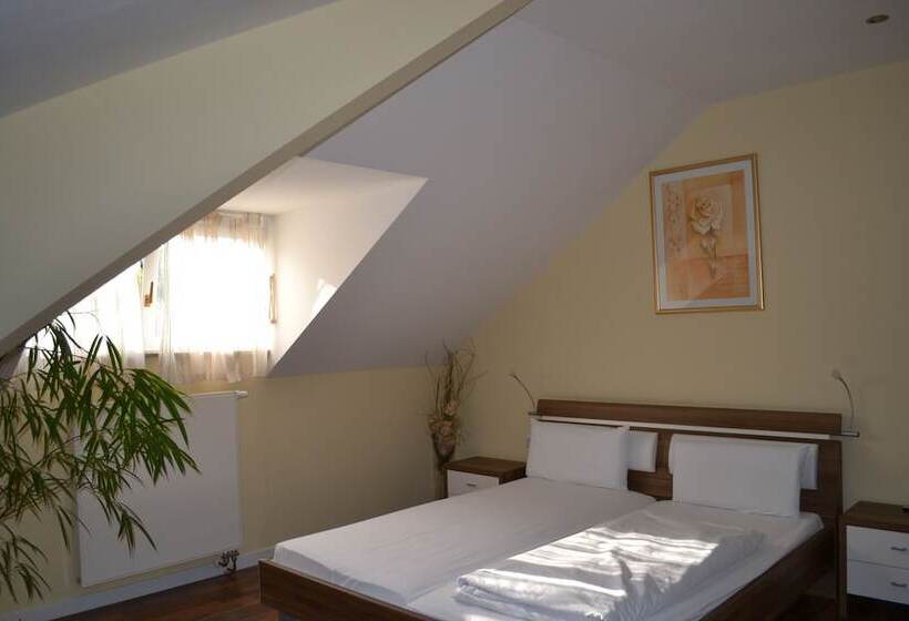 اتاق سوپریور, Il Gladiatore