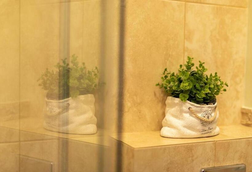 スタンダードルーム, Magus