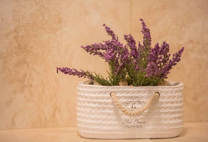 エクゼクティブルーム, Magus