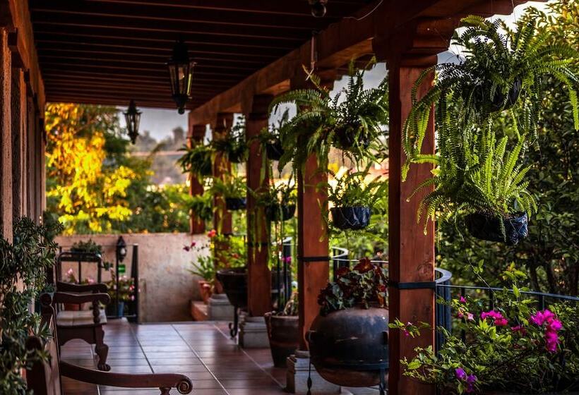 اتاق استاندارد, Naif Boutique