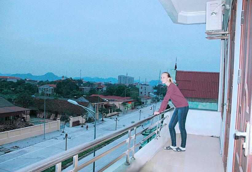 اتاق استاندارد سه نفره, Viet Nhat