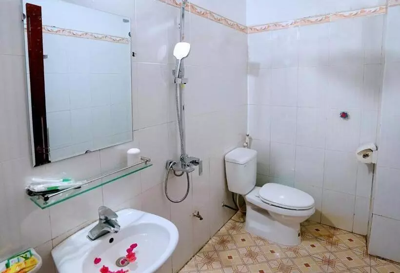اتاق استاندارد سه نفره, Viet Nhat