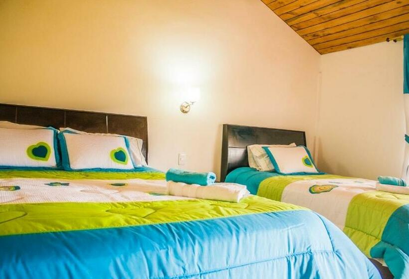 스탠다드 룸, Hosteria Airport Garden