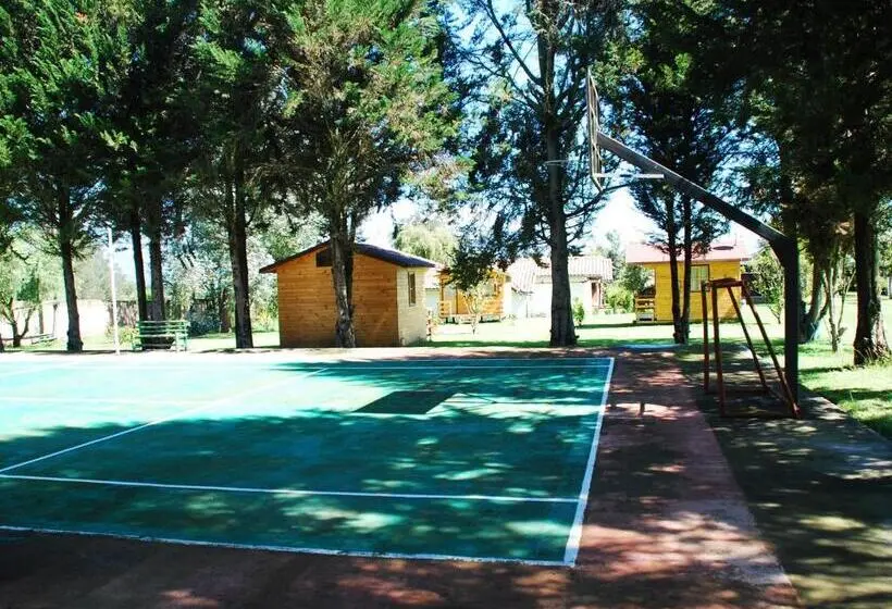 اتاق استاندارد سه نفره, Hosteria Airport Garden