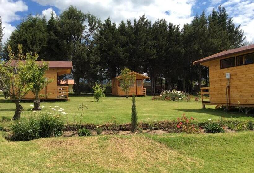 스탠다드 방갈로, Hosteria Airport Garden