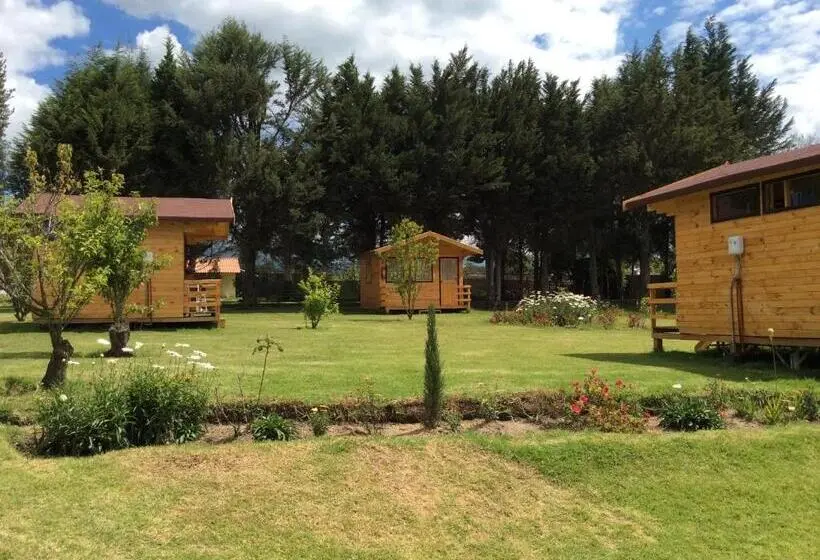 بانگلوی استاندارد, Hosteria Airport Garden