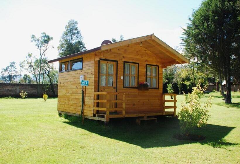 스탠다드 방갈로, Hosteria Airport Garden