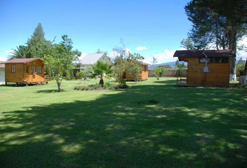 스탠다드 방갈로, Hosteria Airport Garden