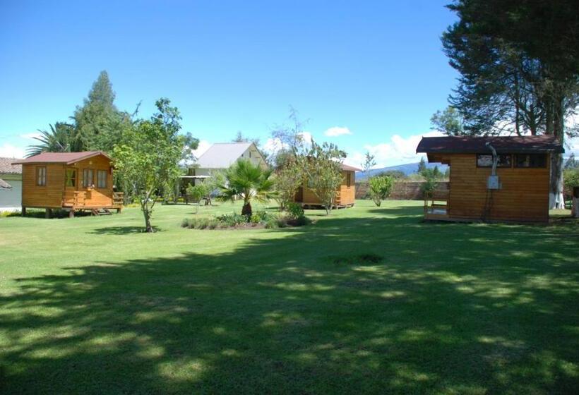 스탠다드 방갈로, Hosteria Airport Garden