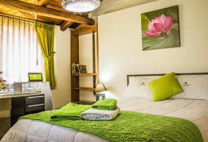 스탠다드 싱글 룸, Hosteria Airport Garden