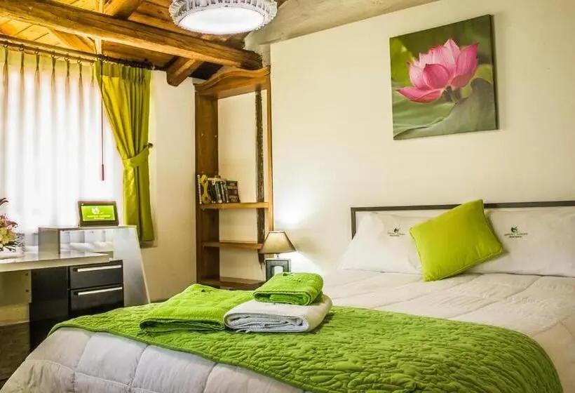 اتاق استاندارد یک نفره, Hosteria Airport Garden
