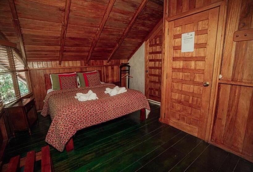 اتاق استاندارد, Mindo Garden Lodge And Wildlife Reserve