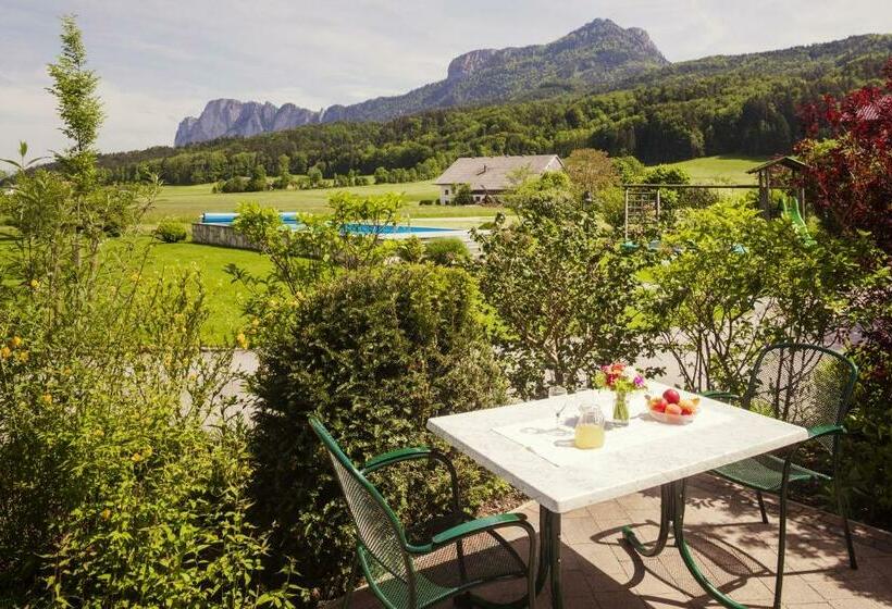 آپارتمان 1 خوابه با چشم‌انداز باغ, Pension Anna