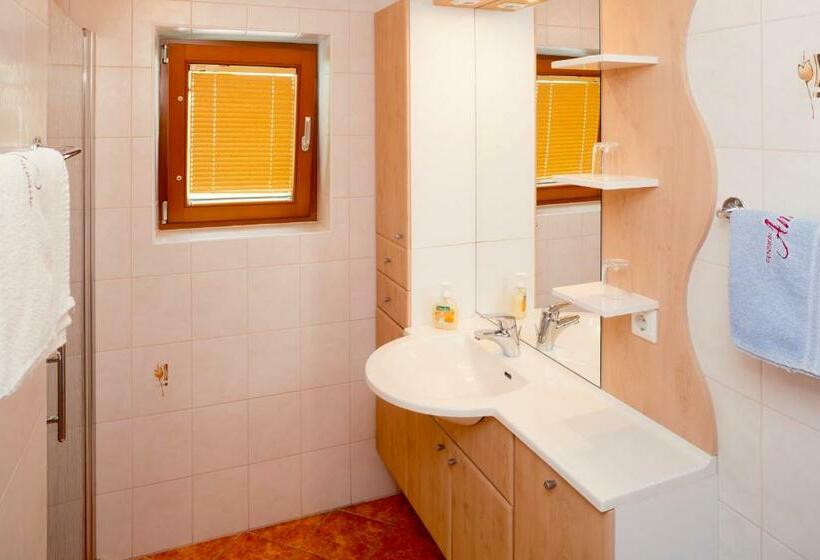 آپارتمان 1 خوابه با چشم‌انداز باغ, Pension Anna