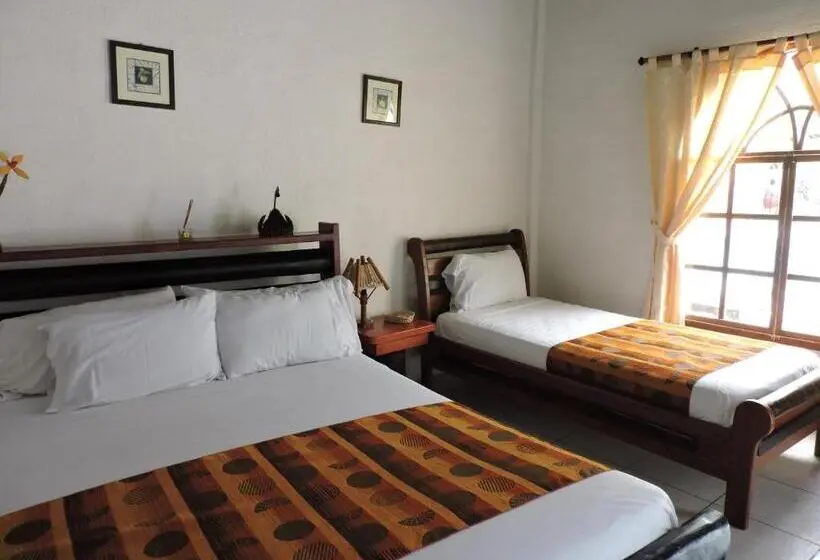 Standard-huone, Puerto Gaviota
