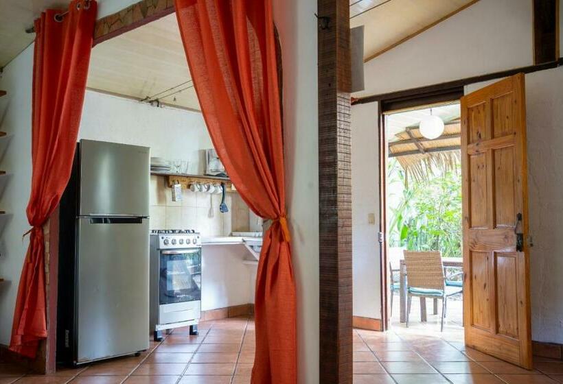 Бунгало Стандарт, Cabinas Montesol