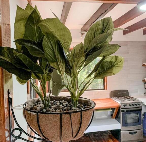 Апартаменты 1 Спальня, Cabinas Montesol